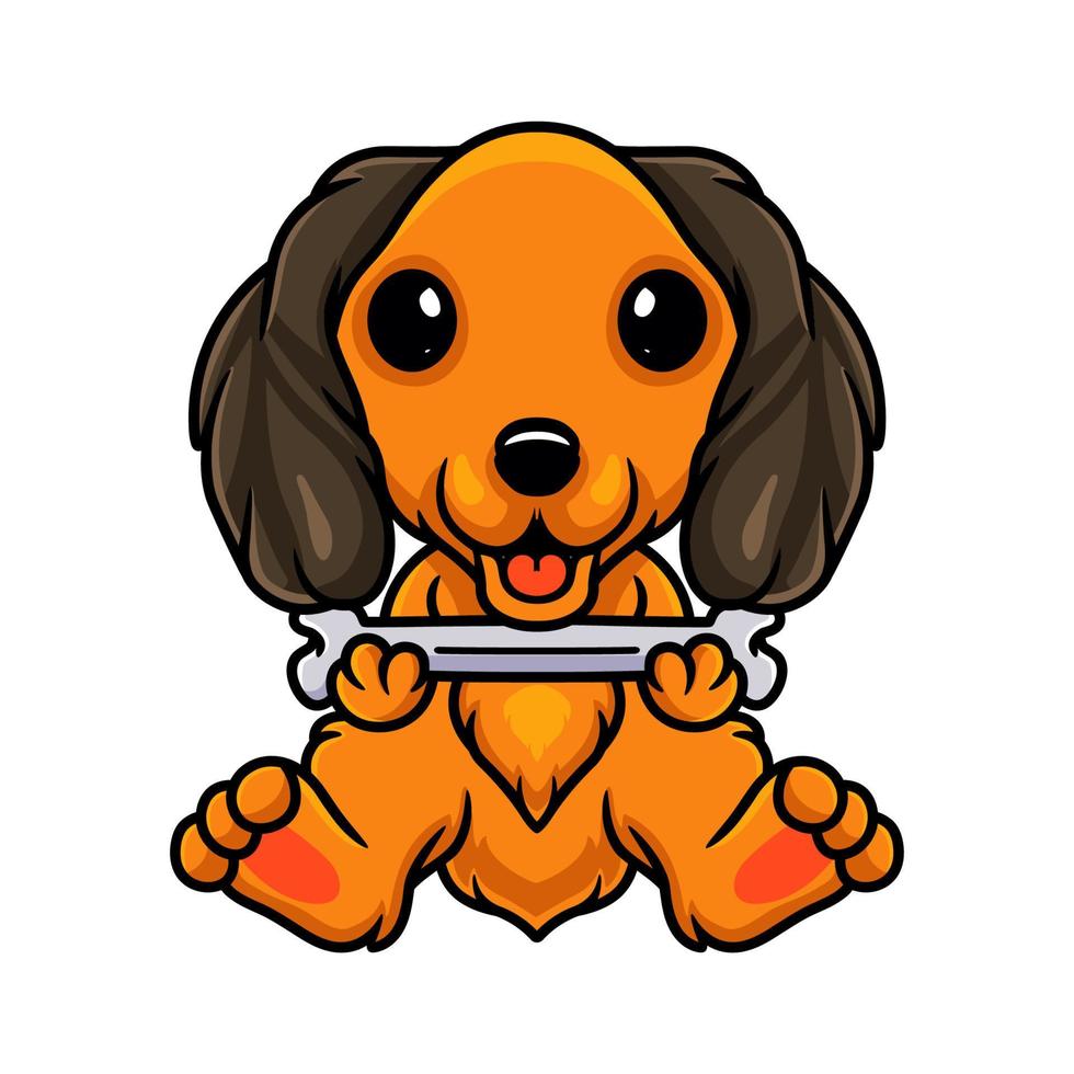 Cute dachund dog cartoon holding a bone vector