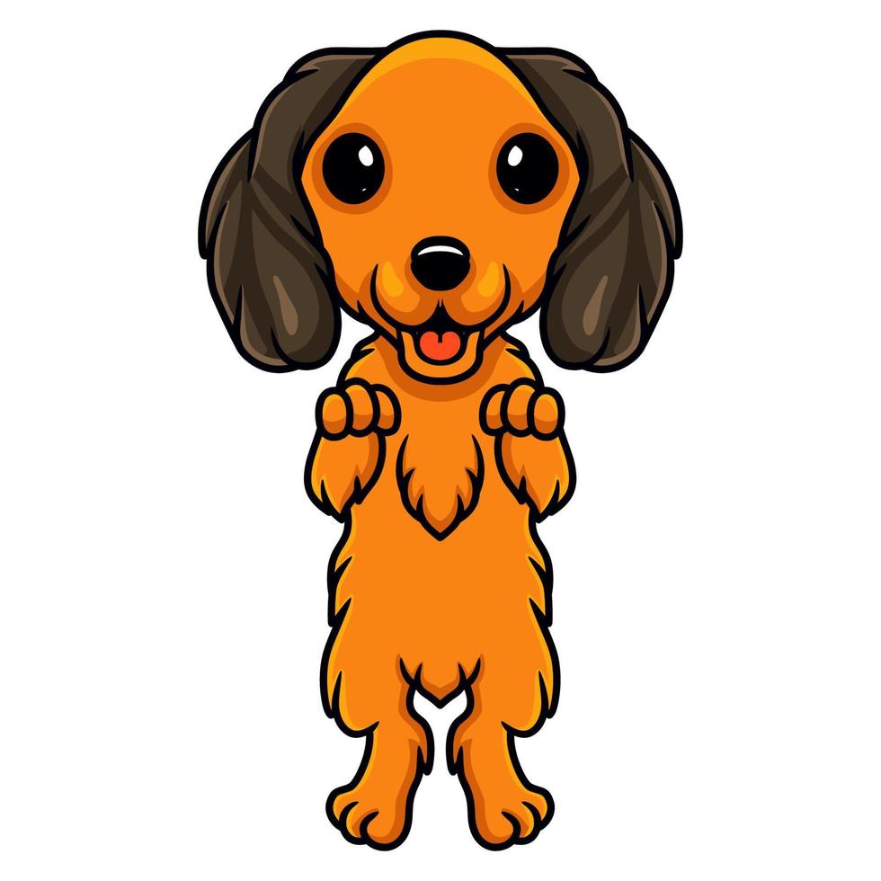 Cute dibujos animados de perro dachund posando vector
