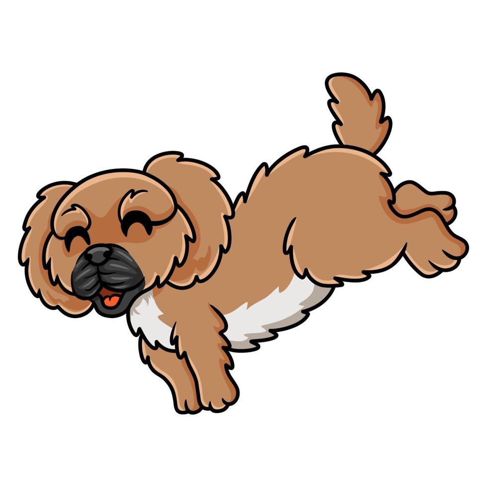 Cute little pekingese dog cartoon vector
