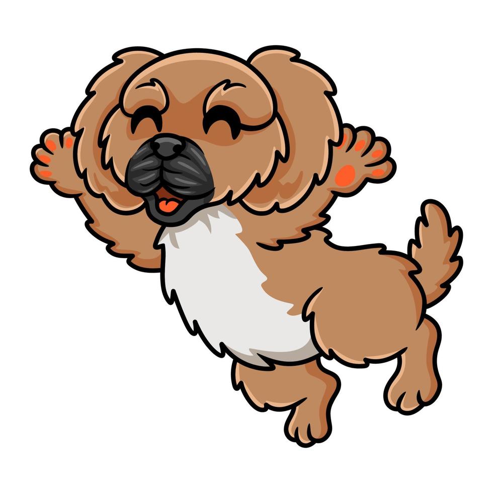 Cute little pekingese dog cartoon vector
