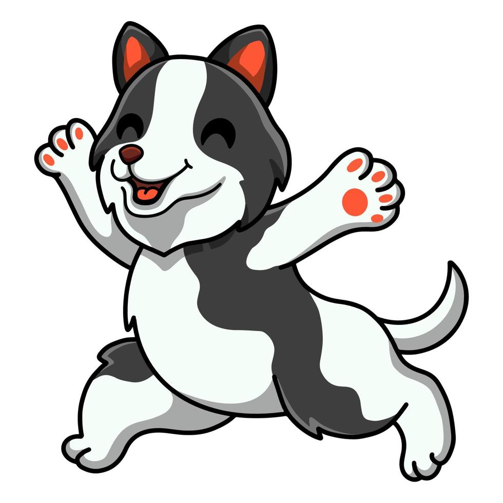 Cute border collie dog cartoon running vector