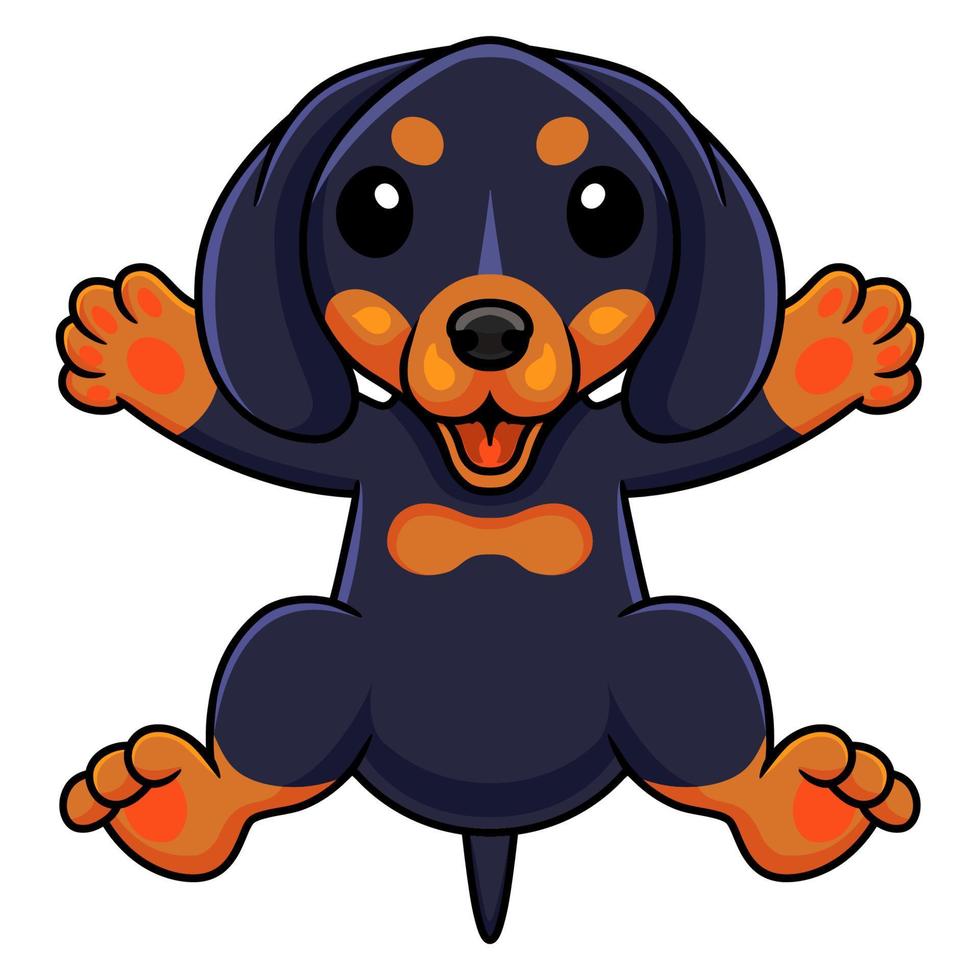 Cute dashund dog cartoon posing vector