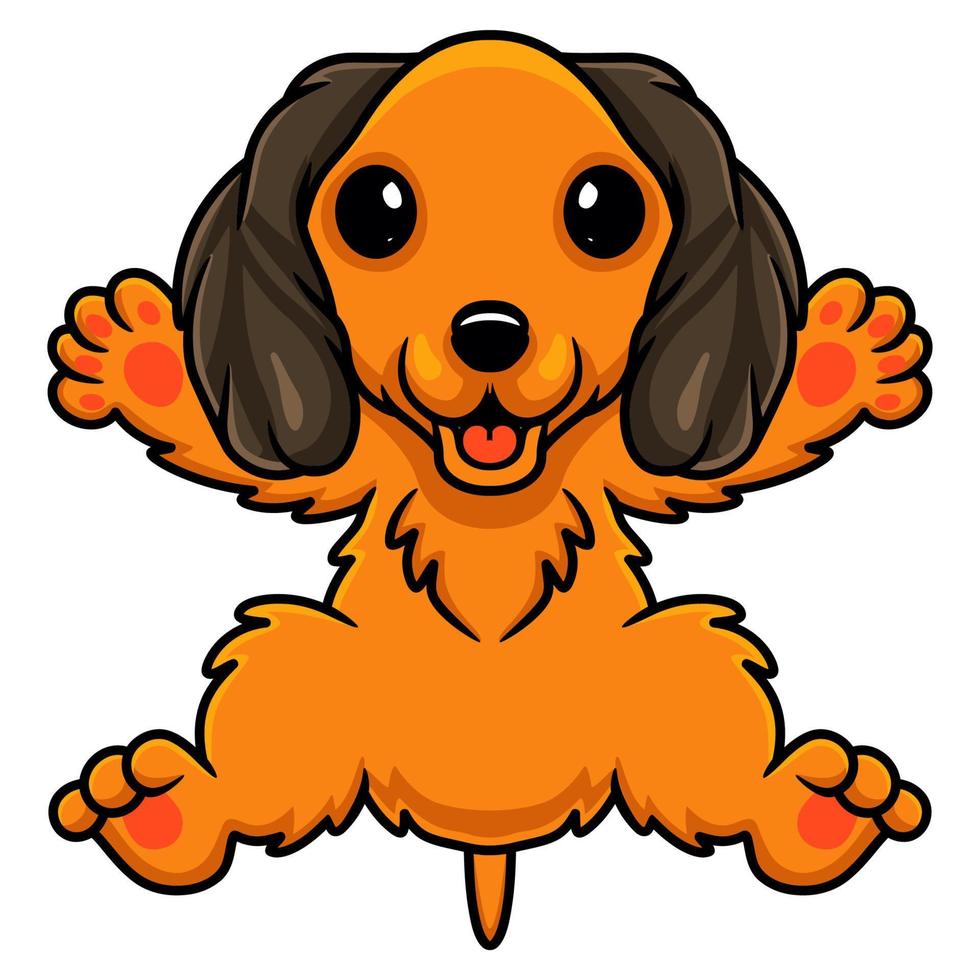 Cute dibujos animados de perro dachund posando vector