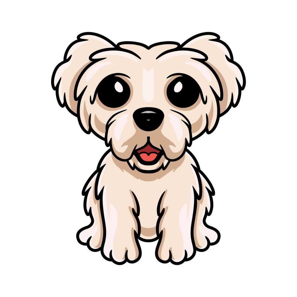 Cute maltese puppy dog cartoon vector