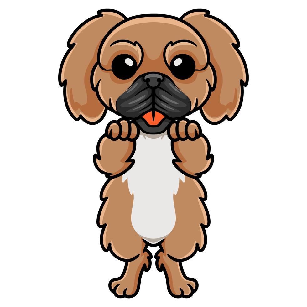 Cute little pekingese dog cartoon vector