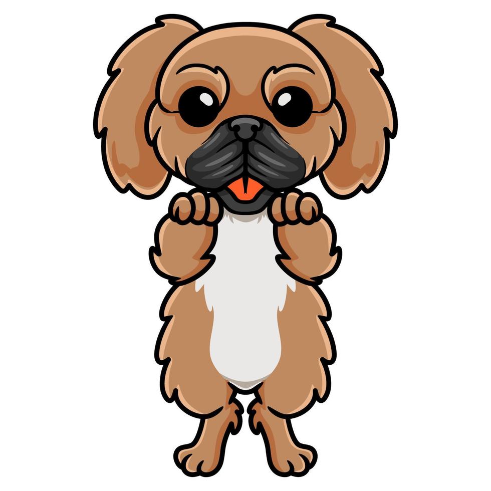 Cute little pekingese dog cartoon vector