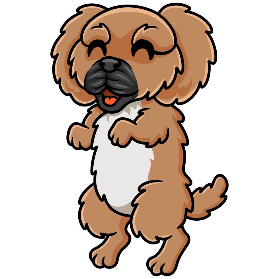 Cute little pekingese dog cartoon vector