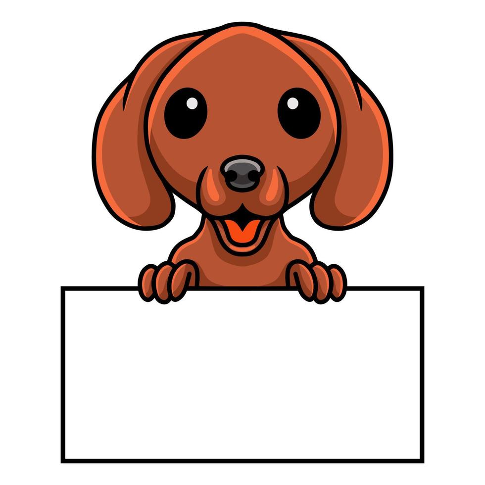 Cute dachshund dog cartoon holding blank sign vector