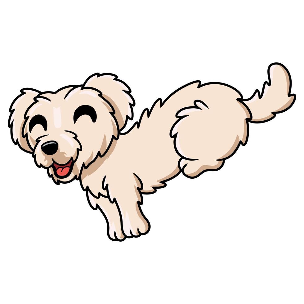 lindo, perrito maltés, perro, caricatura vector