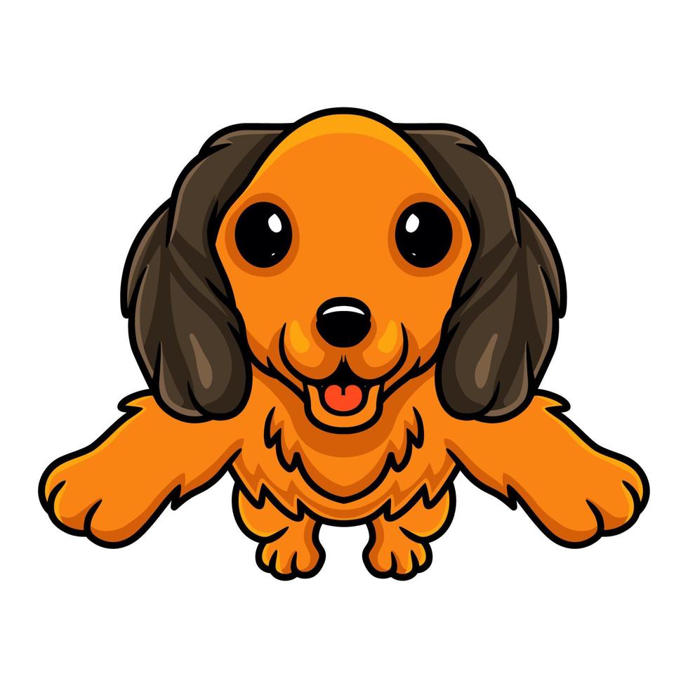 Cute dachund dog cartoon jumping vector