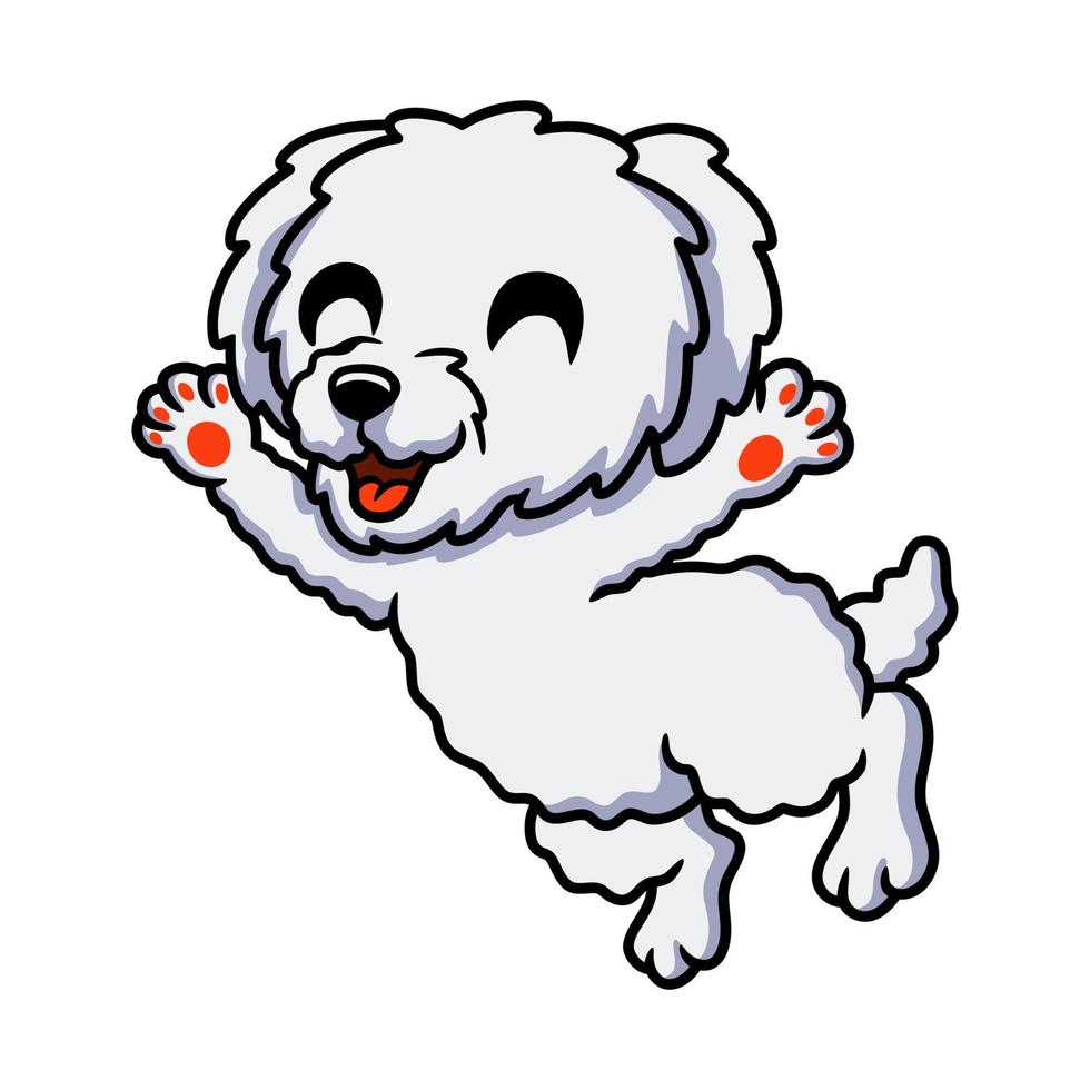 lindo, bichon frise, caricatura, posar vector