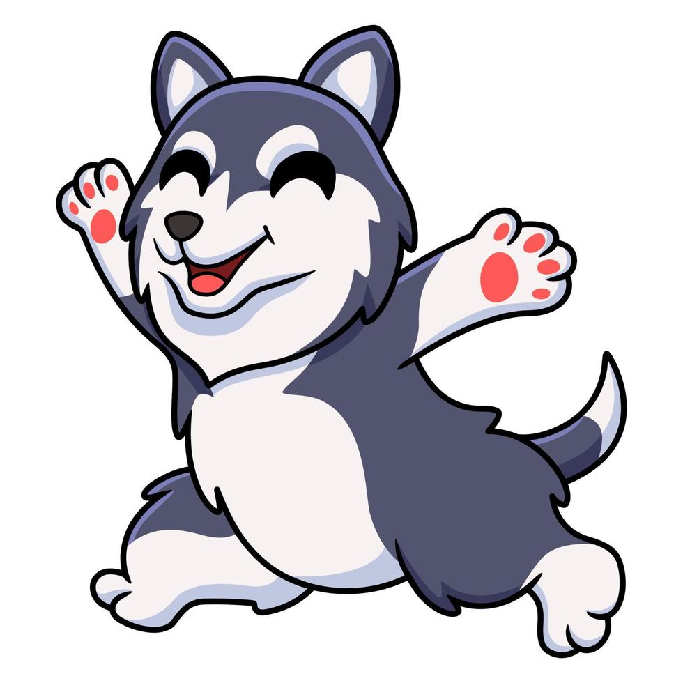 Cute siberian husky dog cartoon running vector