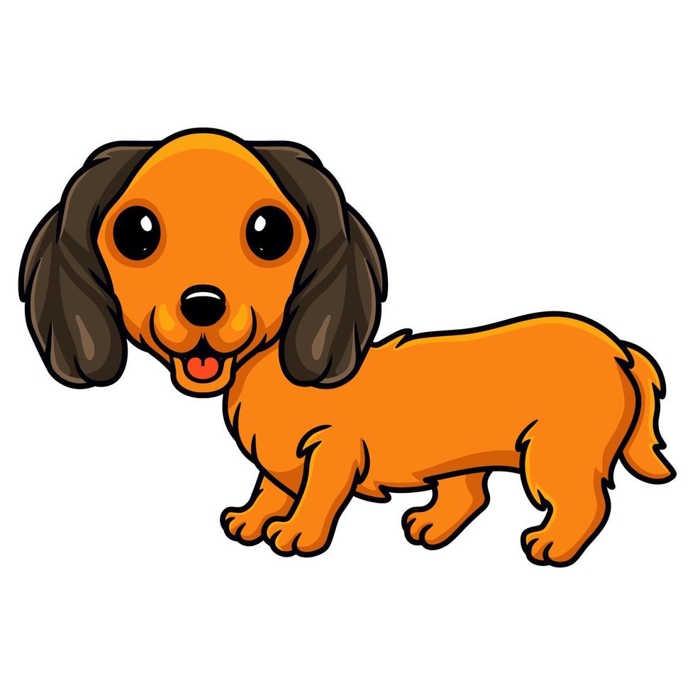 Cute dachund dog cartoon posing vector