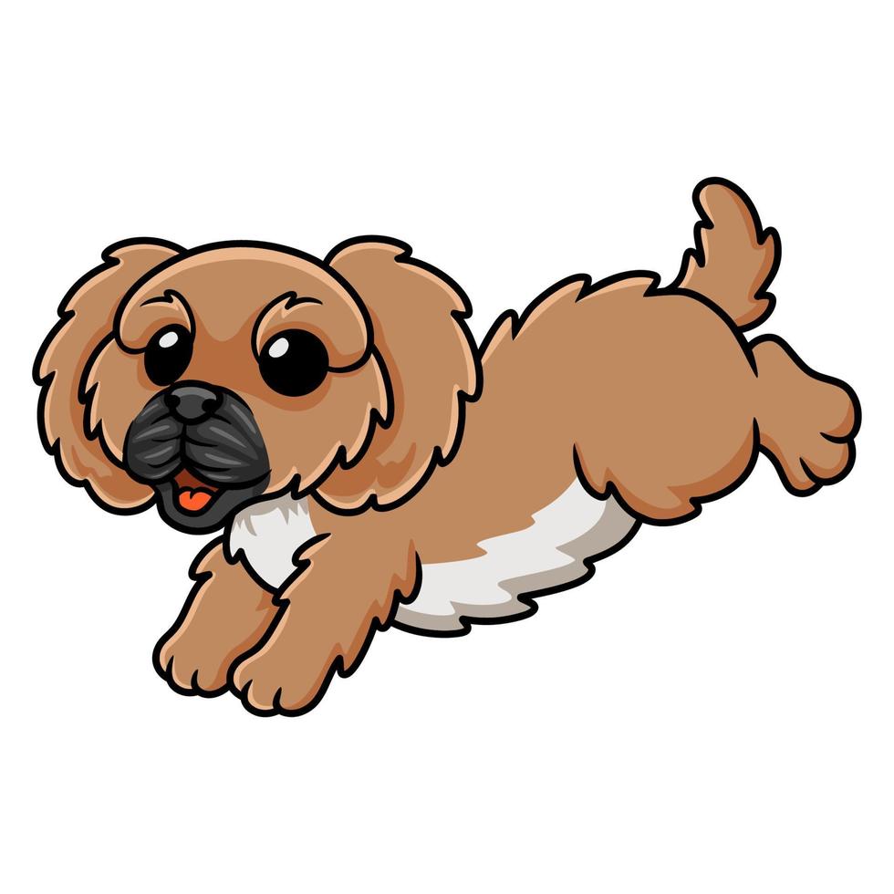 Cute little pekingese dog cartoon vector