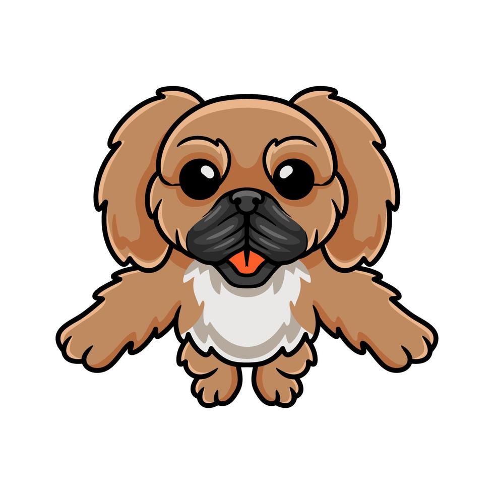 Cute little pekingese dog cartoon vector