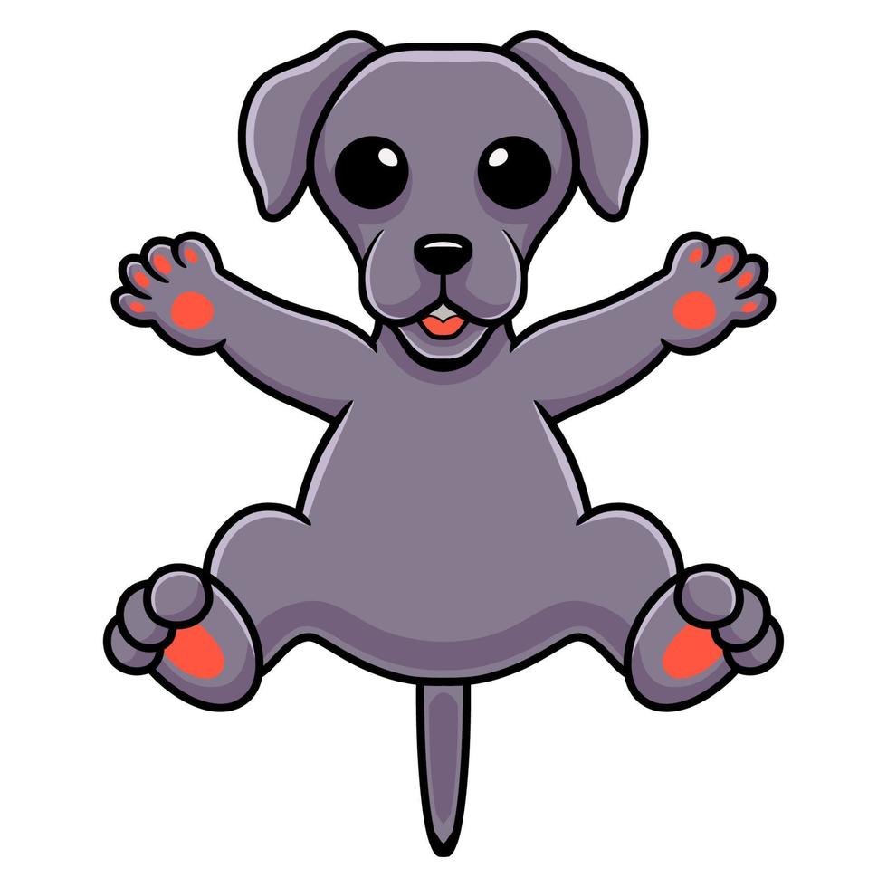 Cute dibujos animados de perro weimaraner posando vector