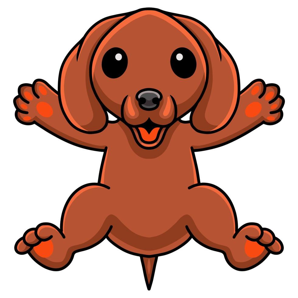 Cute dachshund dog cartoon posing vector