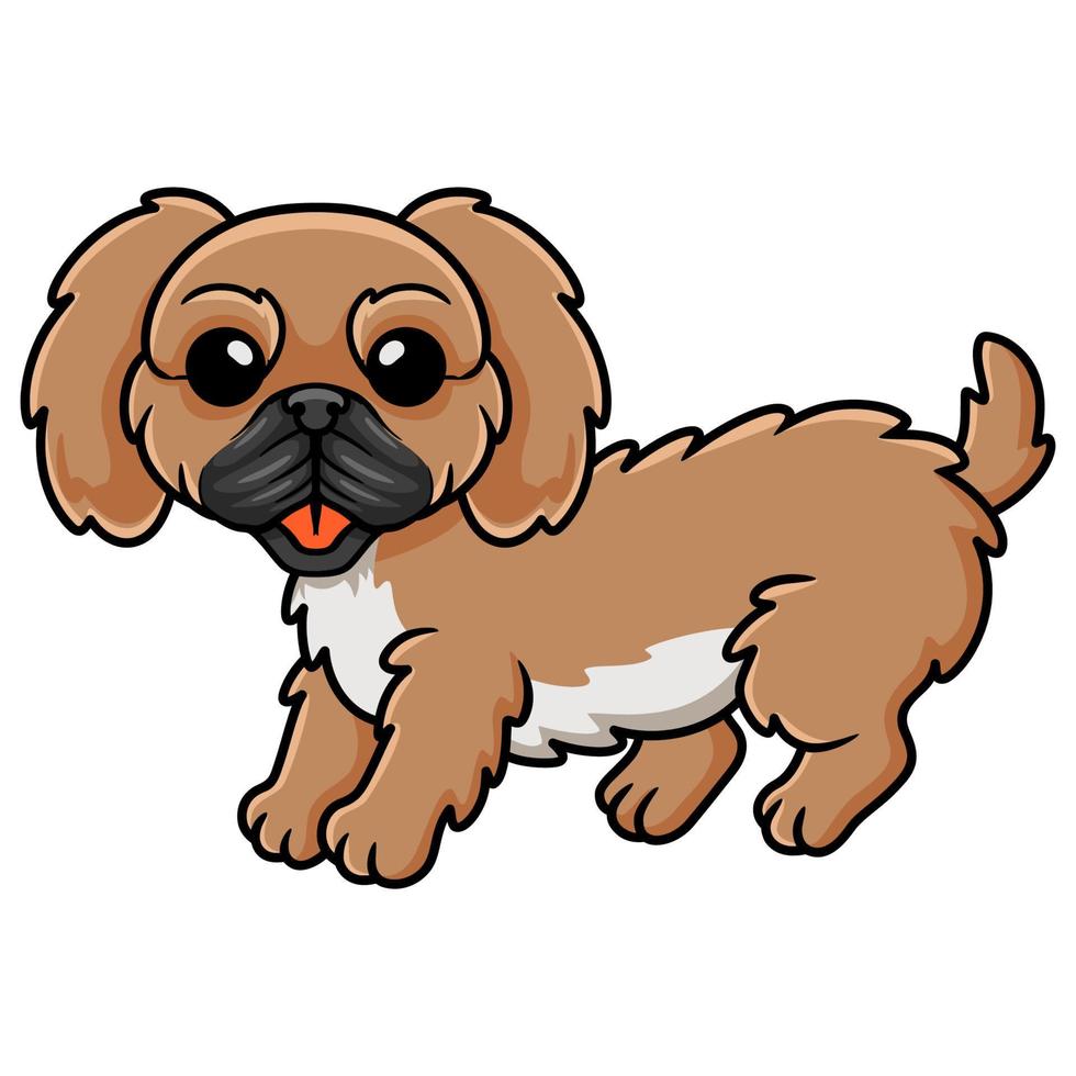 Cute little pekingese dog cartoon vector