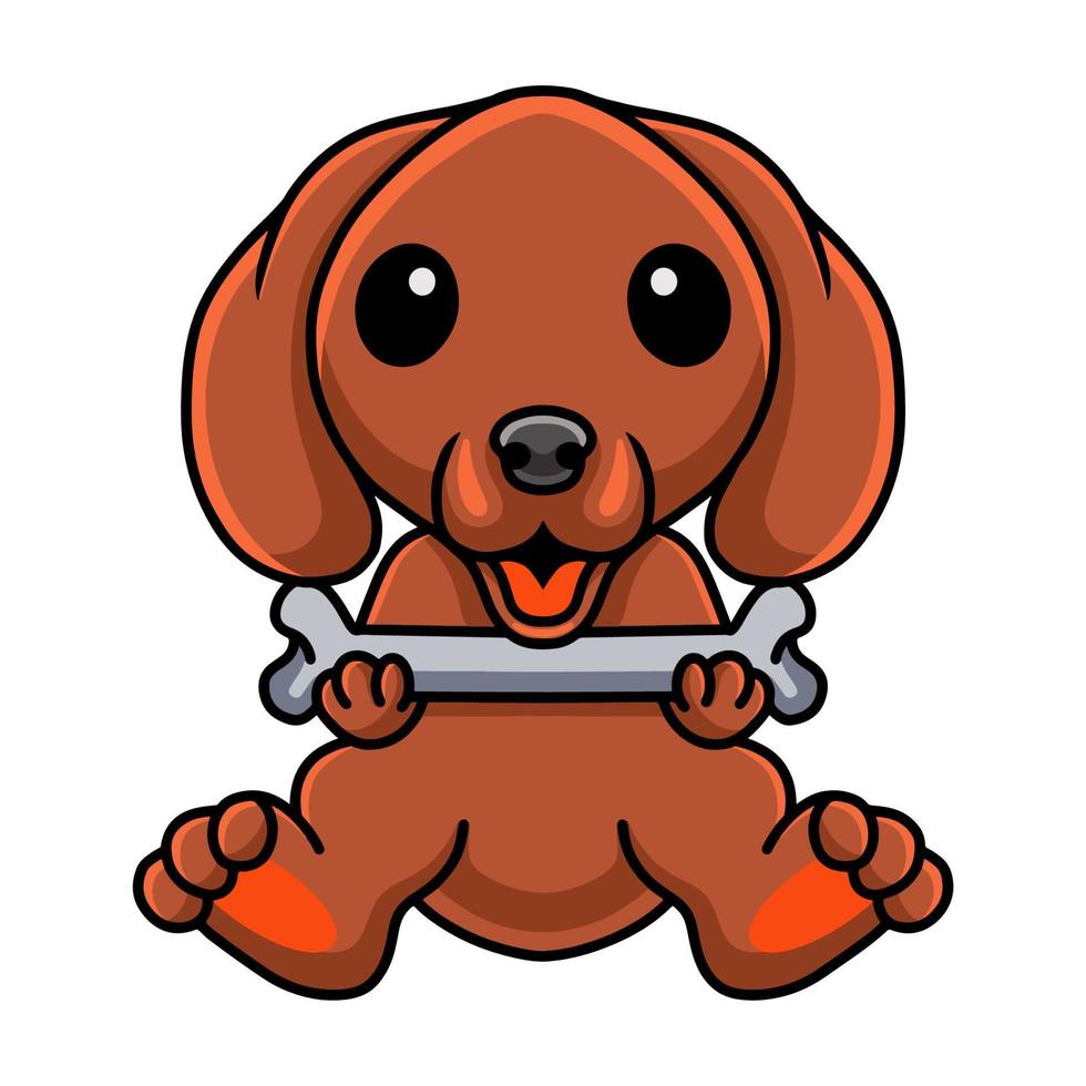 linda caricatura de perro dachshund sosteniendo un hueso vector