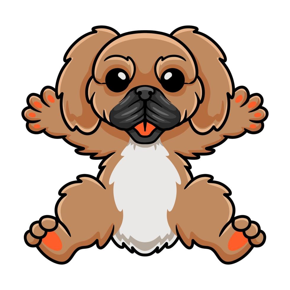 Cute little pekingese dog cartoon vector