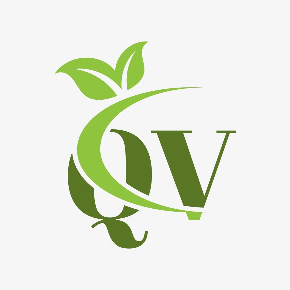 qv letter logo with swoosh leaves icon vector. vector