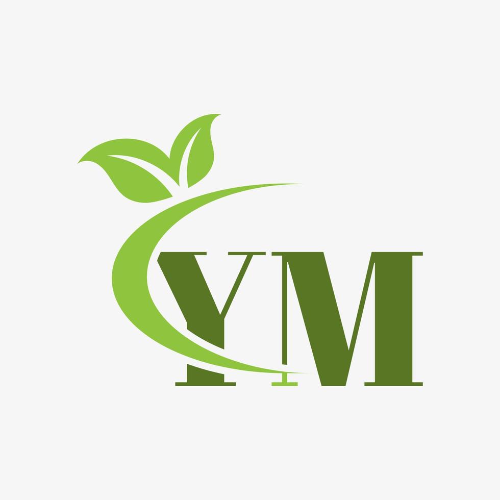 YM letter logo with swoosh leaves icon vector. pro vector. vector