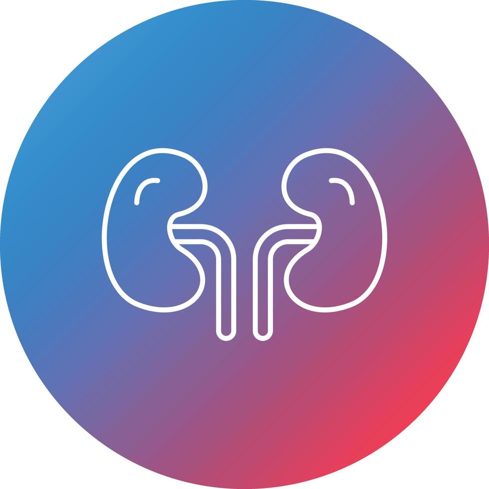 Kidney Line Gradient Circle Background Icon vector