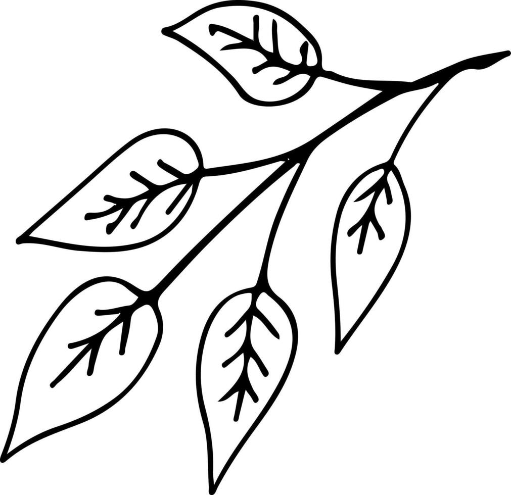 abstract ornament vector illustration in black and white colors