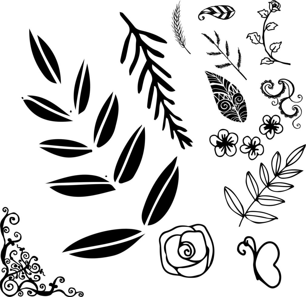 abstract ornament vector illustration in black and white colors