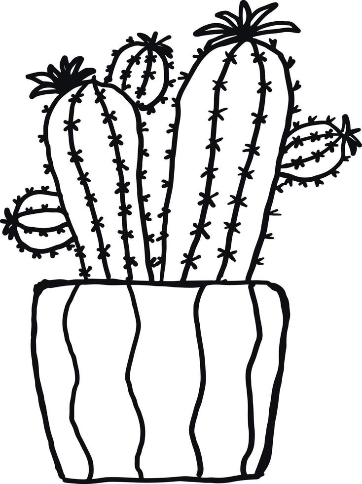 Ilustración de vector de ornamento de planta de cactus en colores blanco y negro