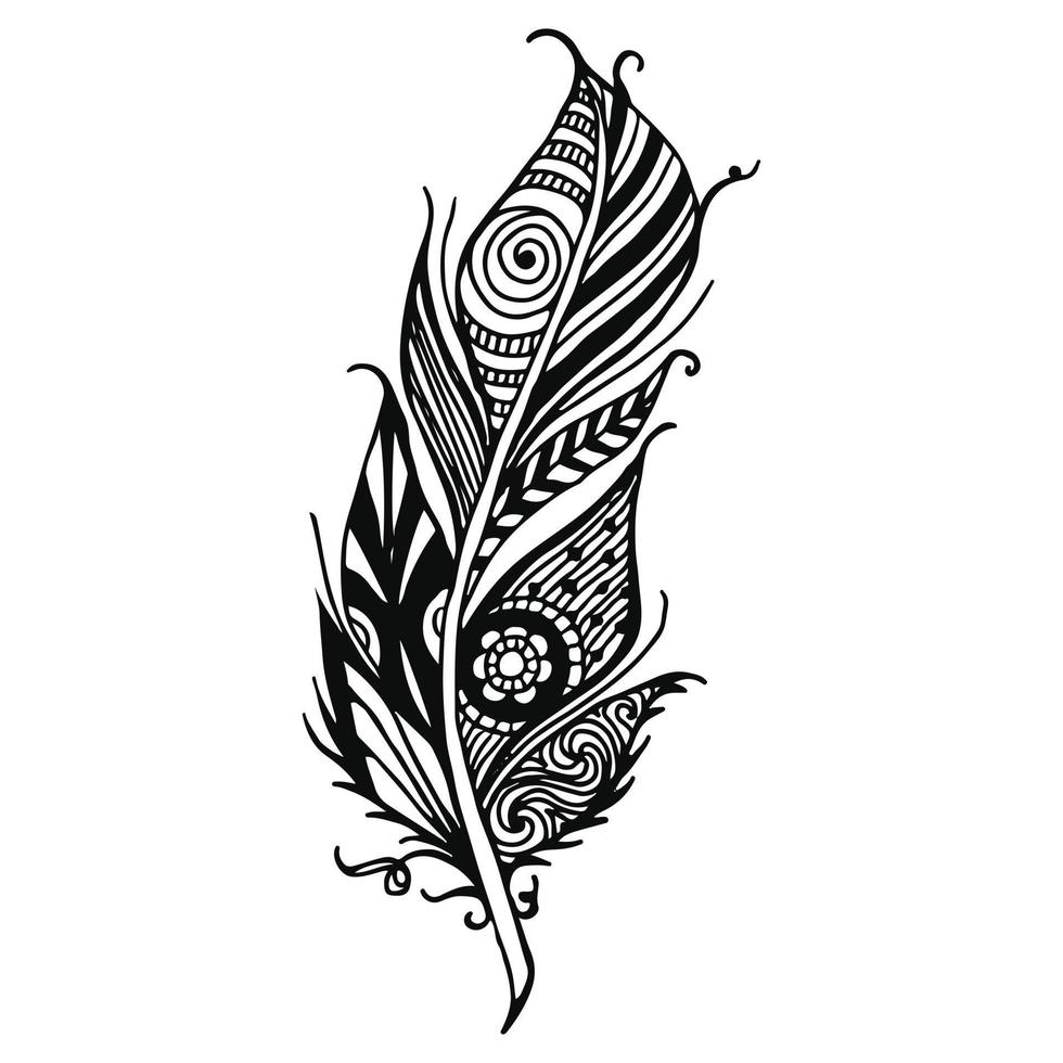 feather ornament vector illustration in black and white colors