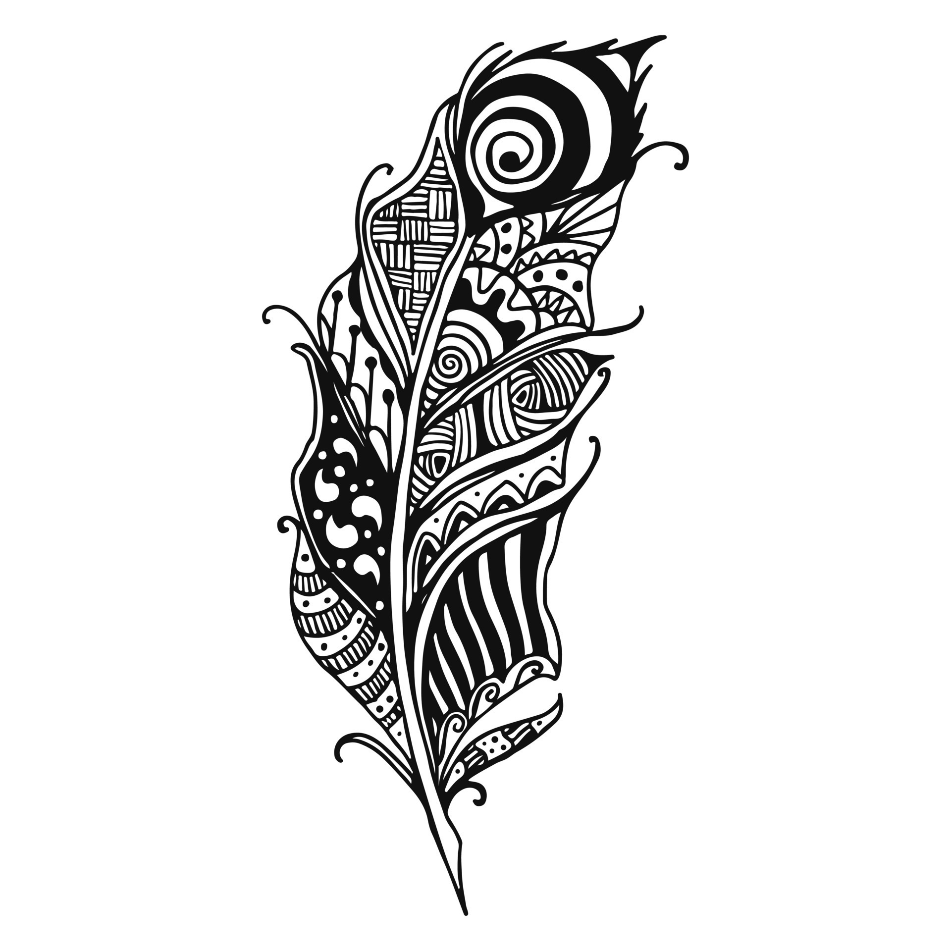 feather ornament vector illustration in black and white colors 16837430 ...