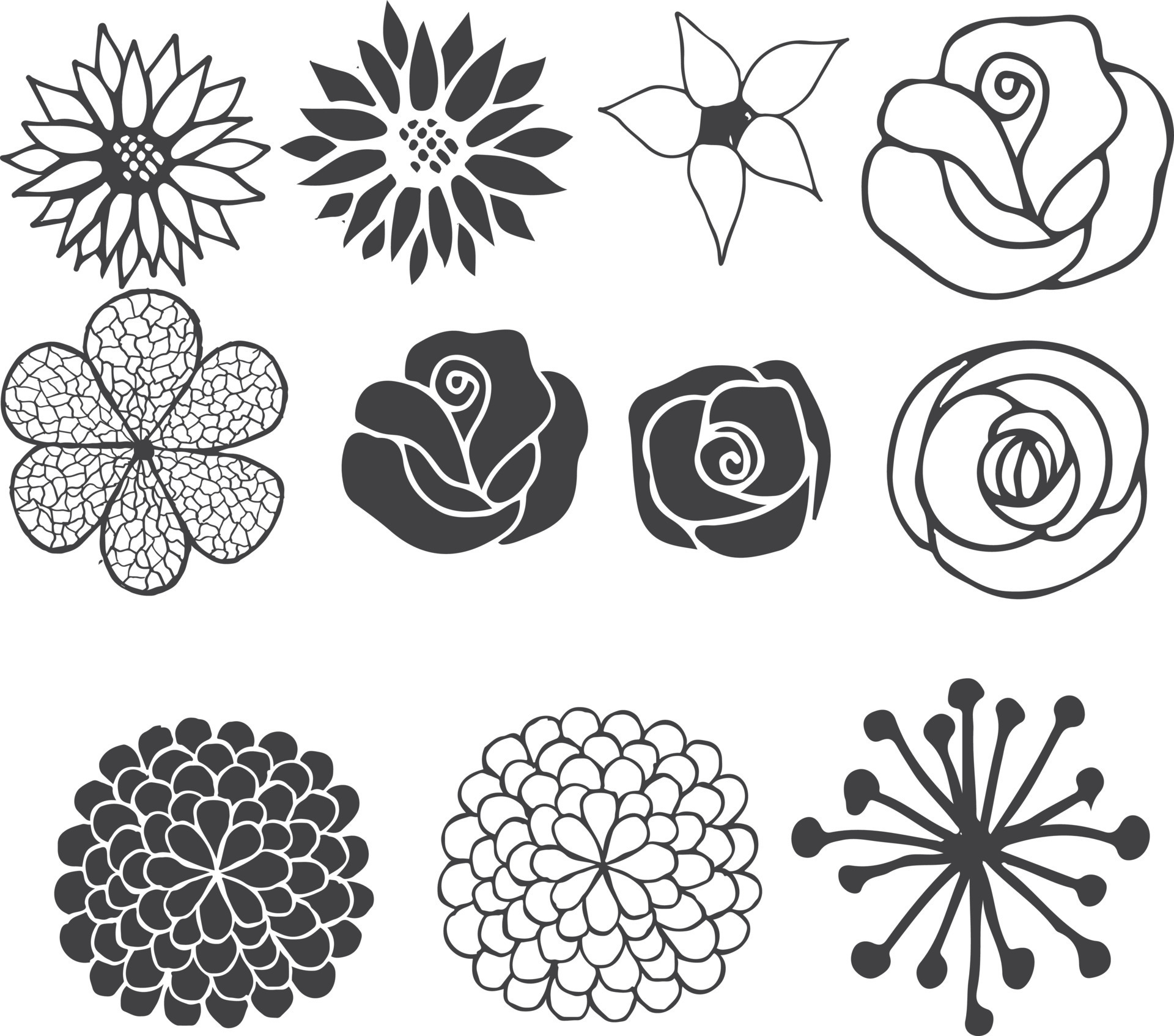 abstract ornament vector illustration in black and white colors