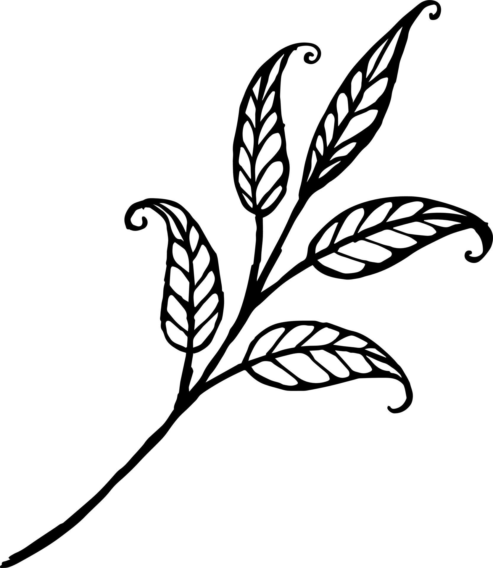 abstract ornament vector illustration in black and white colors