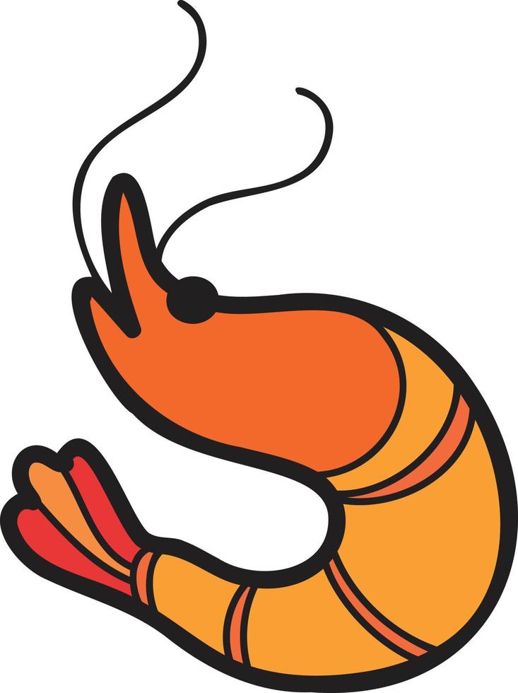 Hand Drawn boiled shrimp or Thai food illustration vector