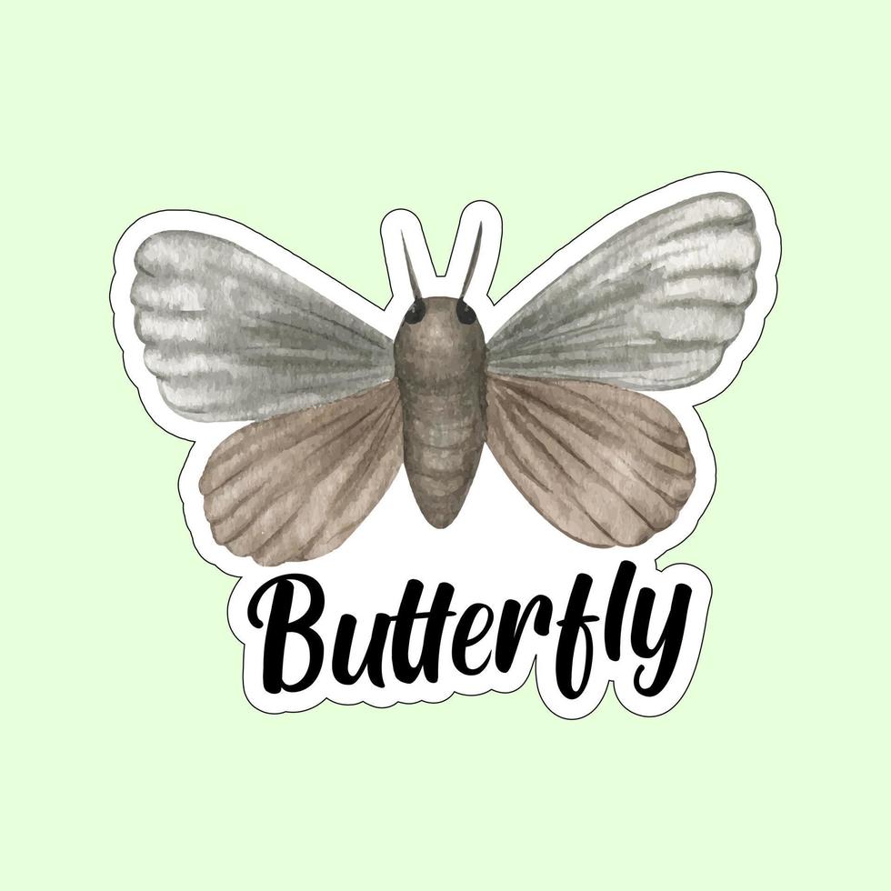 Beautiful colorful butterflies. Butterfly illustration for stickers or print. Butterfly vector design