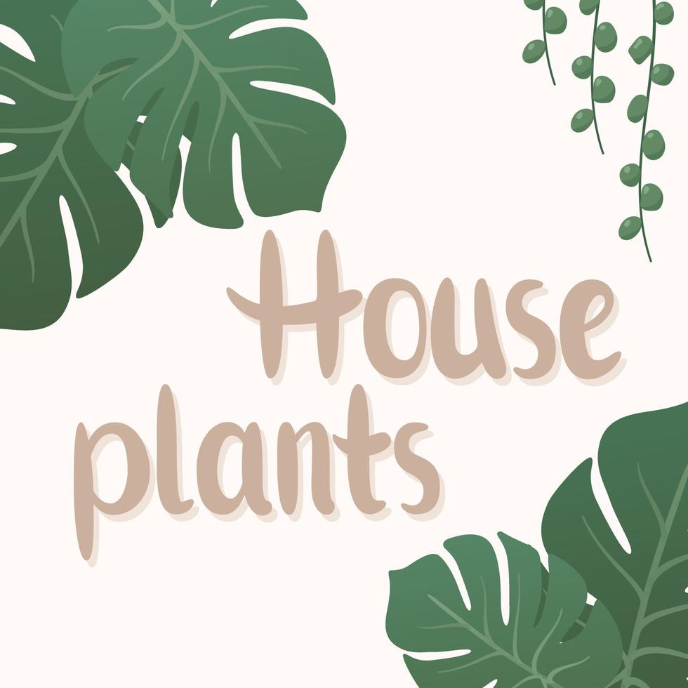 Vector illustration of lettering of house plants with decoration from tropical monstera leaves