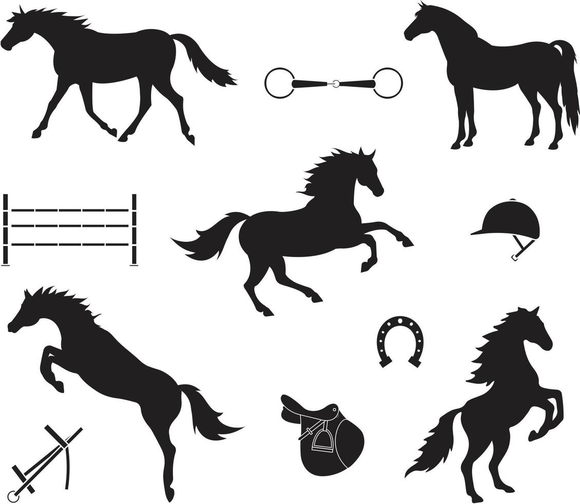 Vector set of horse riding equipment