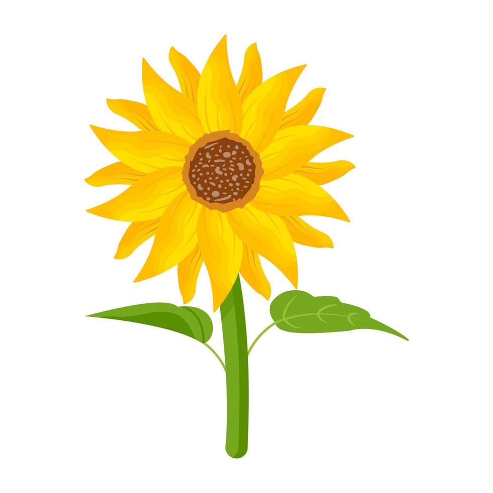 Trendy Helianthus Concepts vector