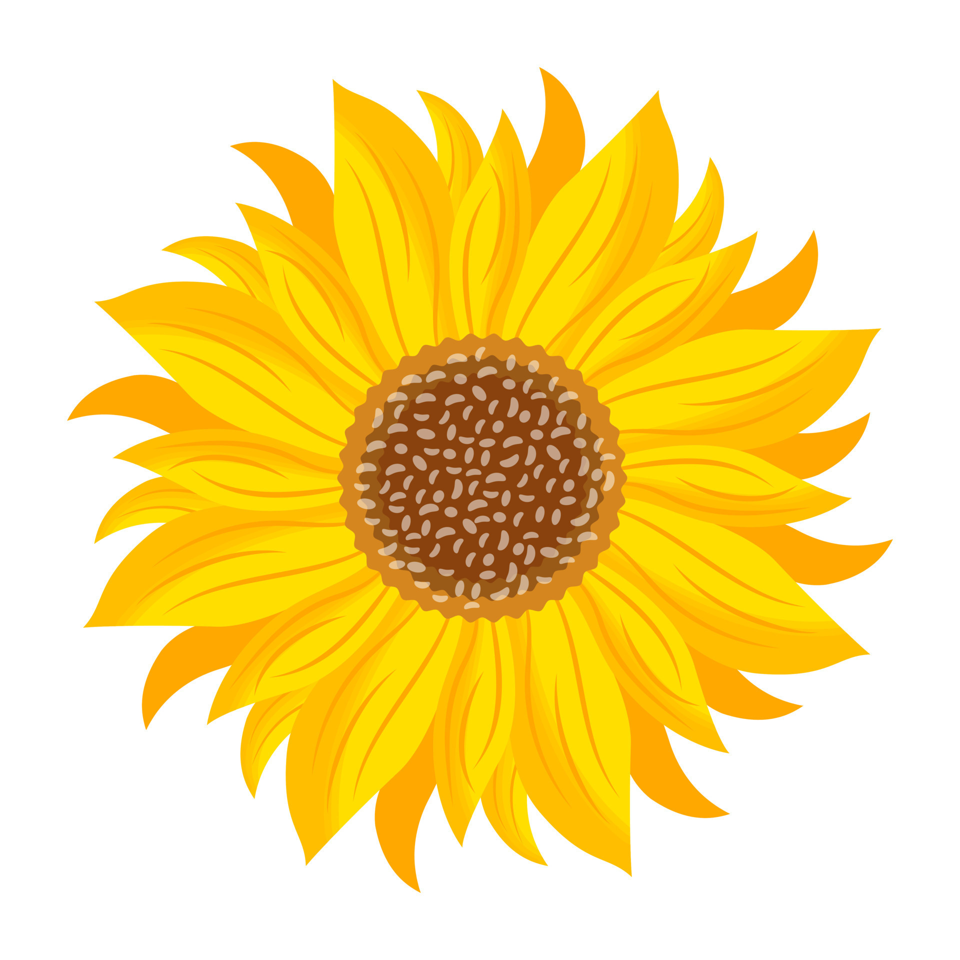 Trendy Yellow Flower 16841144 Vector Art at Vecteezy