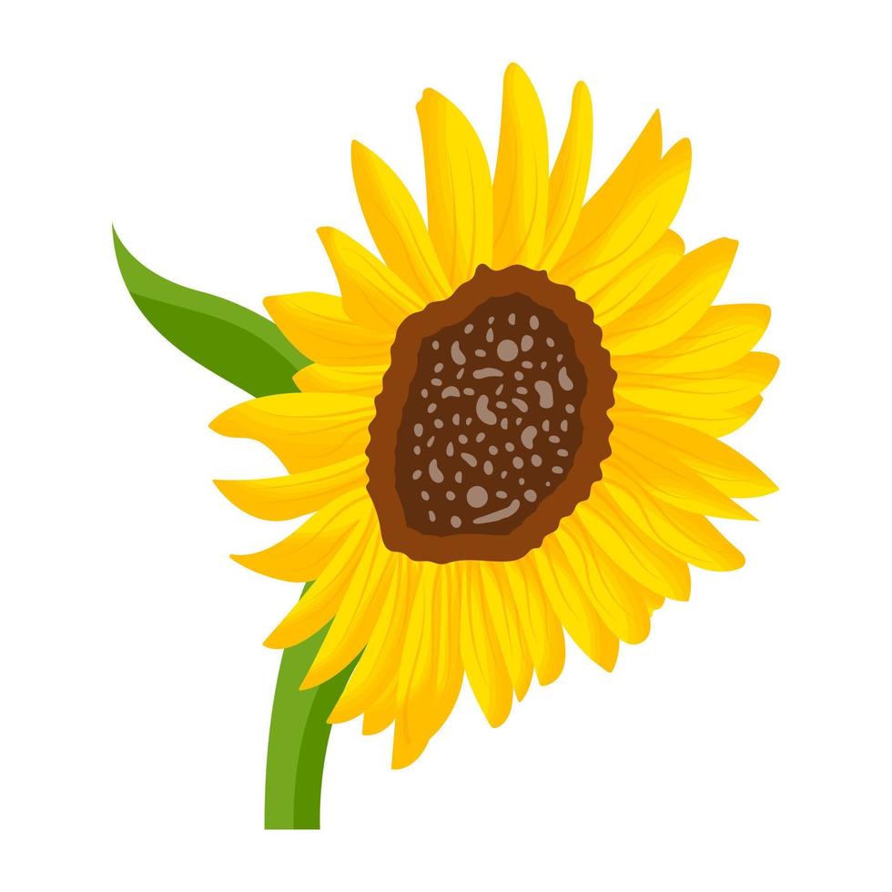 Trendy Yellow Flower vector