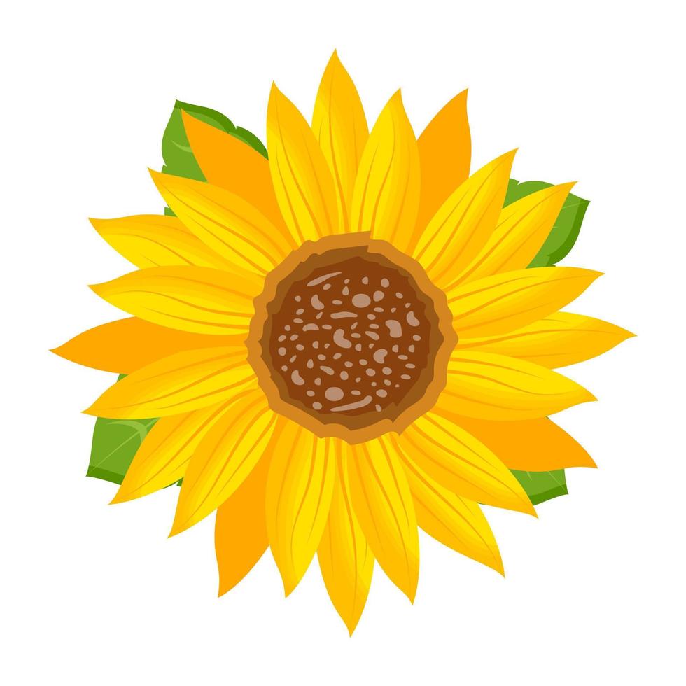 conceptos de girasol de moda vector