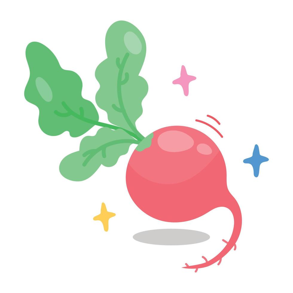 Trendy Red Radish vector