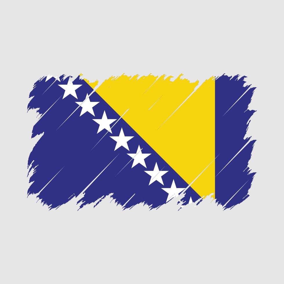 Bosnia Flag Brush Vector