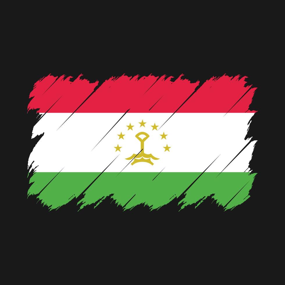 Tajikistan Flag Brush Vector
