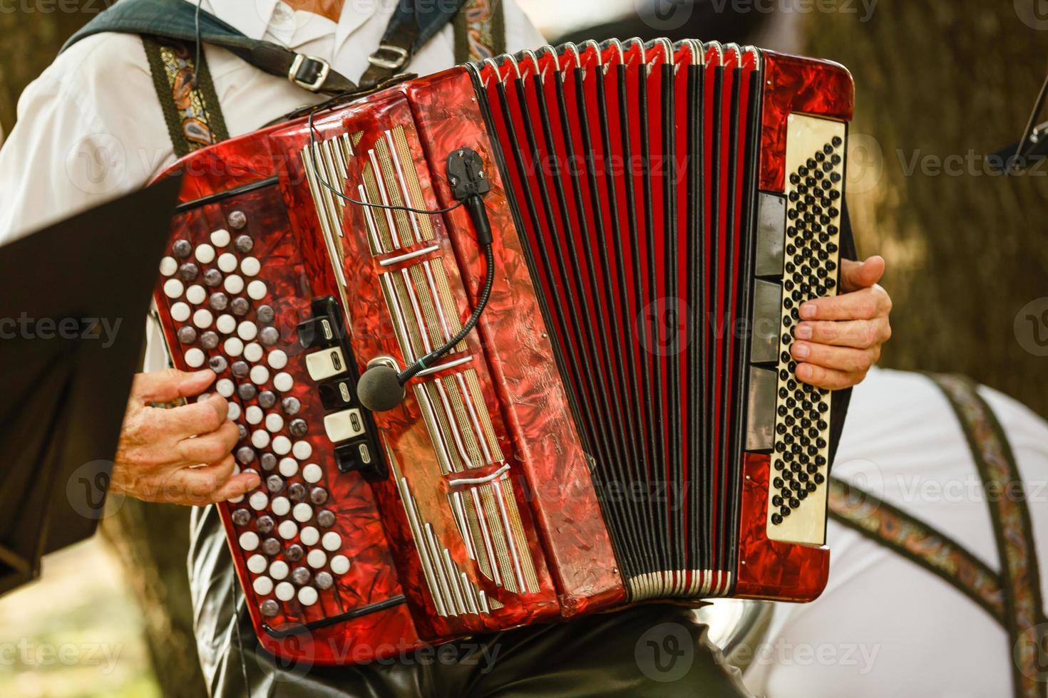 Male playing on the accordion against a grunge background photo