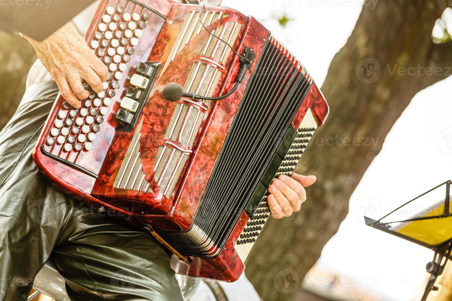 Male playing on the accordion against a grunge background photo