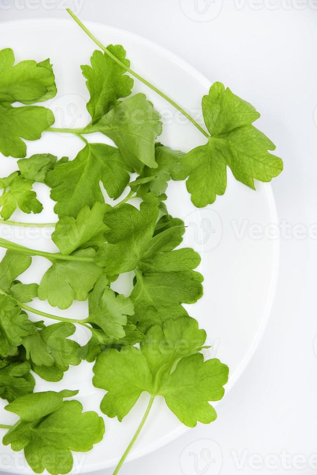 ensalada verde fresca sobre un fondo blanco. primer plano de ensalada de perejil fresco. hojas de lechuga verde. foto