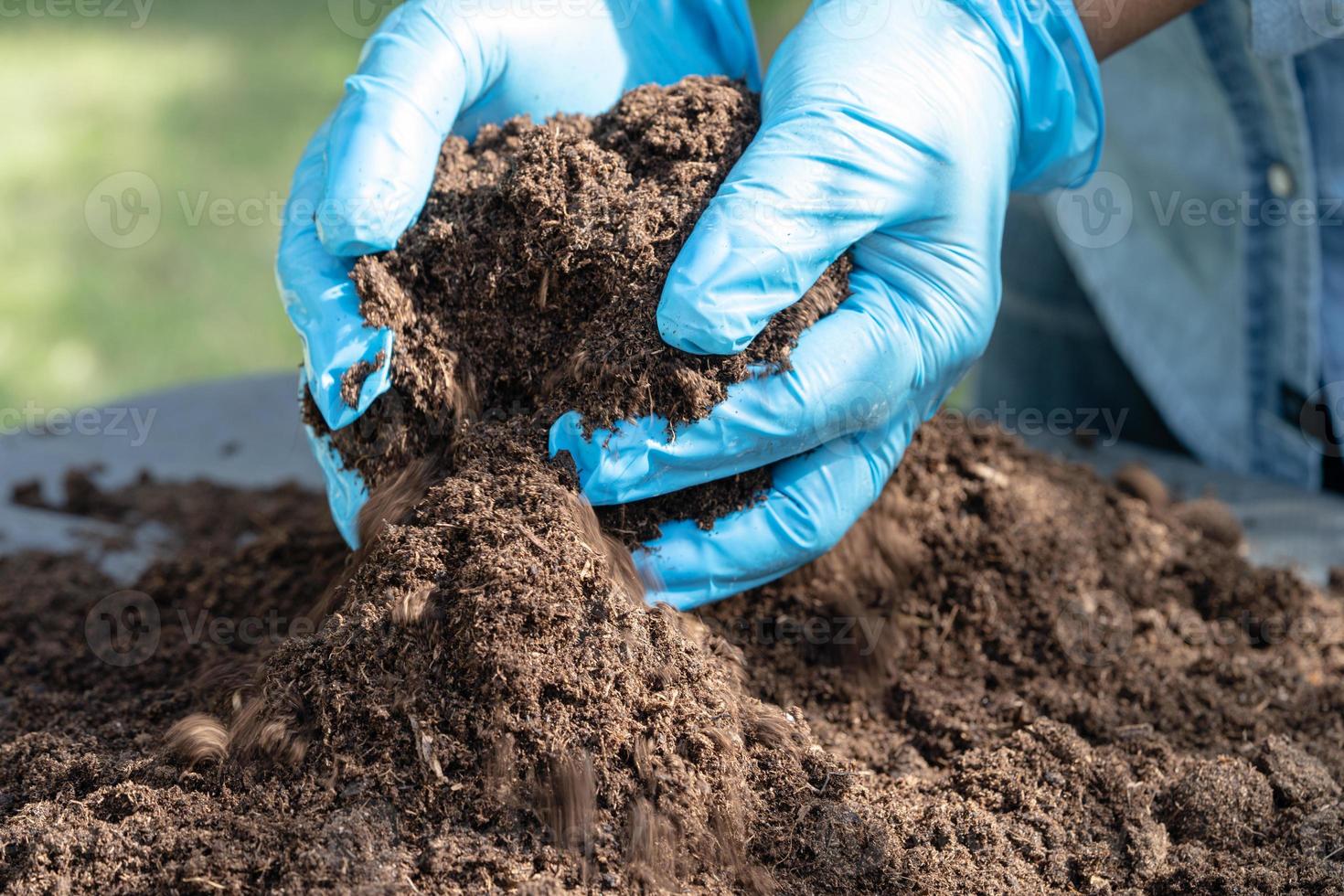 Hand holding peat moss organic matter improve soil for agriculture organic plant growing, ecology concept. photo