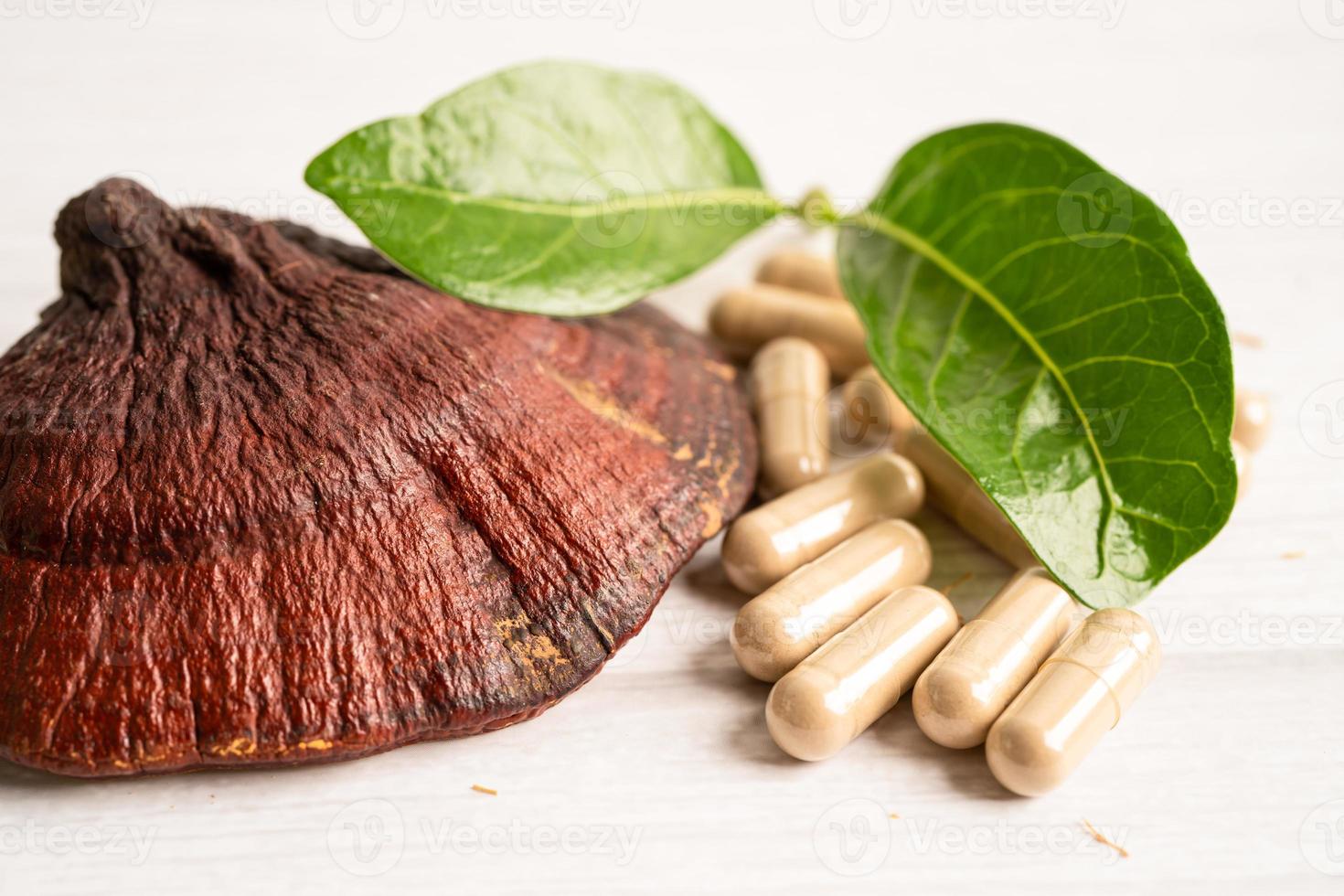 Dried lingzhi mushroom with capsule drug, alternative medicine herbal organic herb. photo